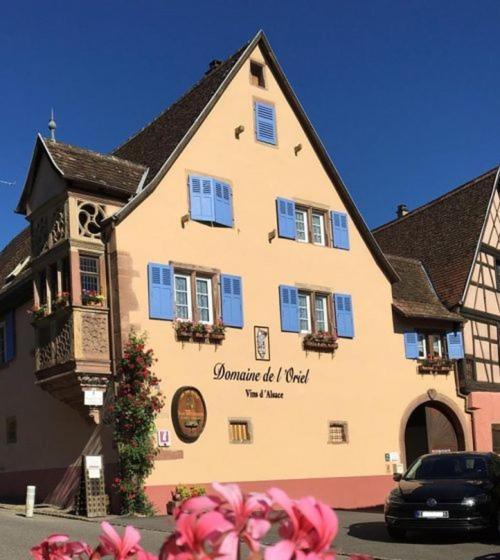 Les Vendangeurs Apartment Niedermorschwihr Bagian luar foto